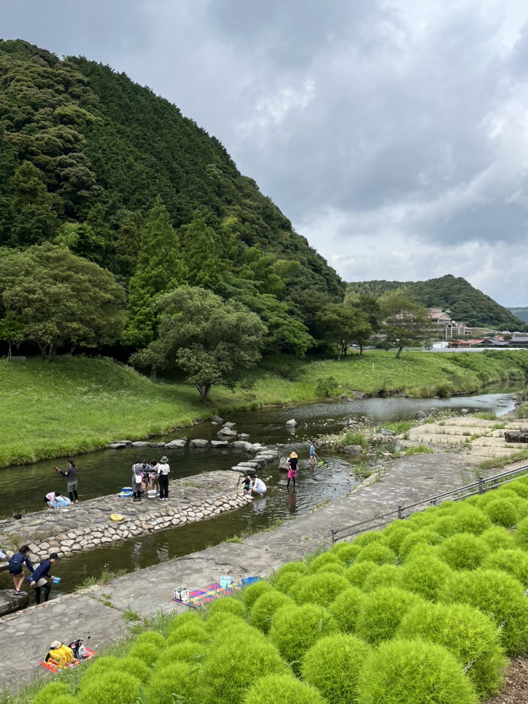 投稿された画像