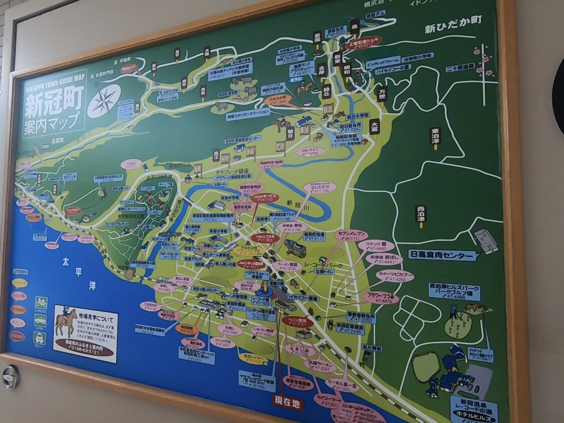 投稿された画像