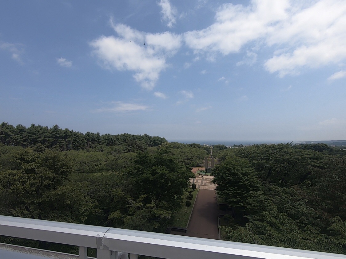 投稿された画像