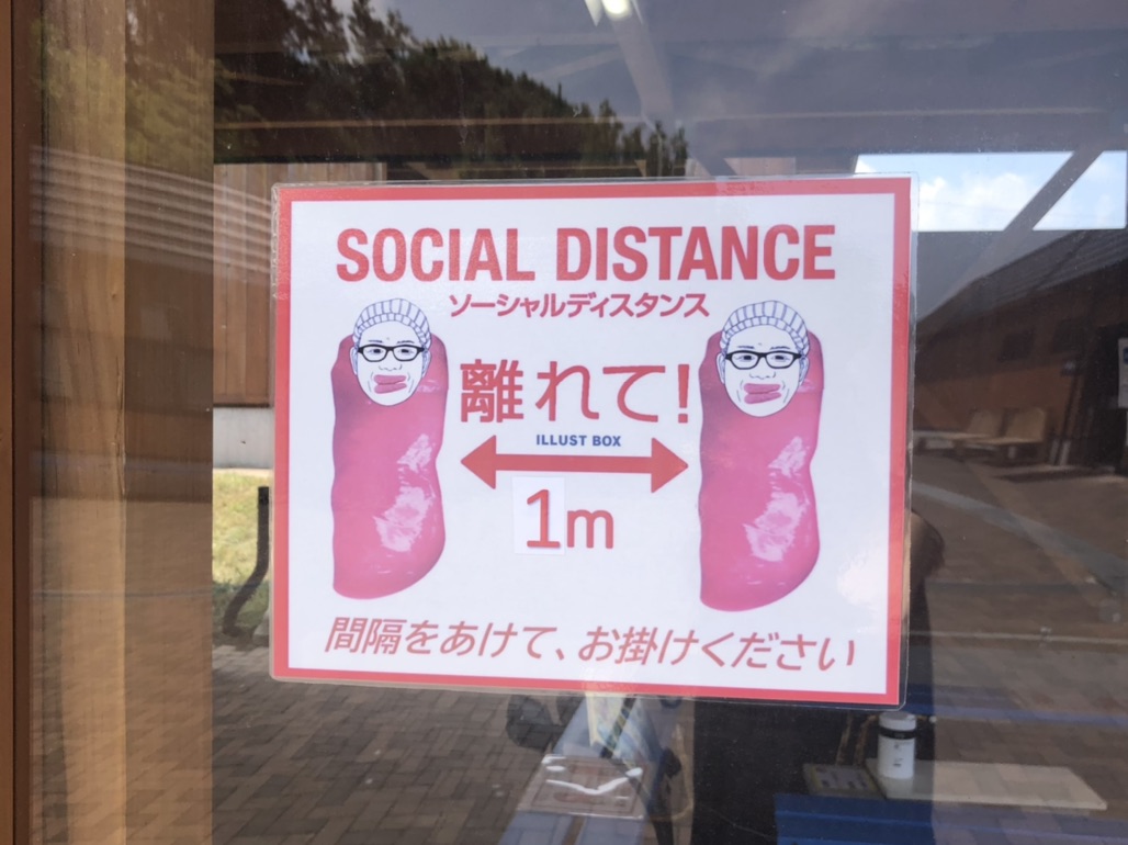 投稿された画像