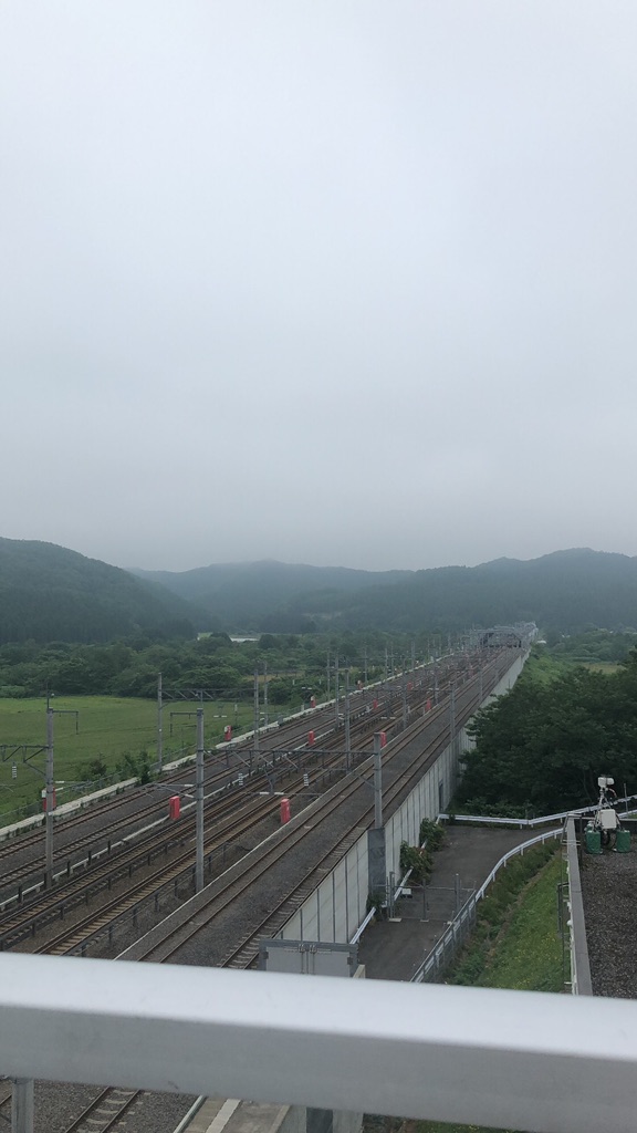 投稿された画像