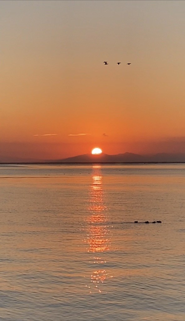 投稿された画像