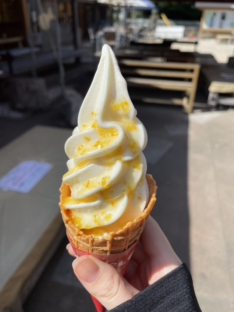 投稿された画像