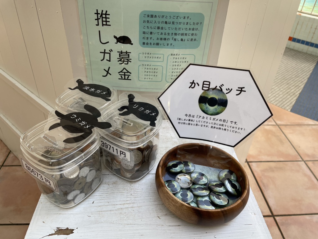 投稿された画像