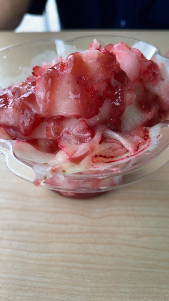 投稿された画像