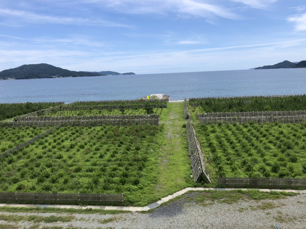 投稿された画像