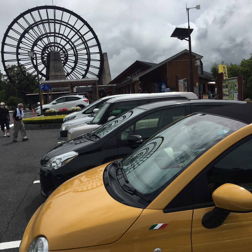 投稿された画像