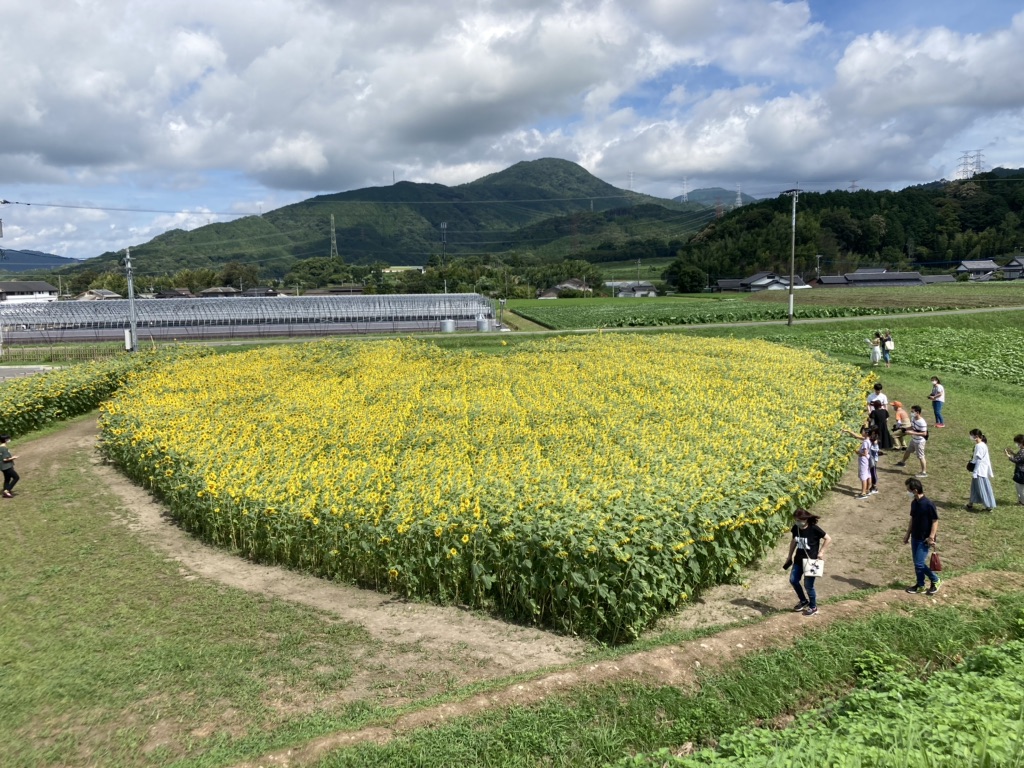 投稿された画像