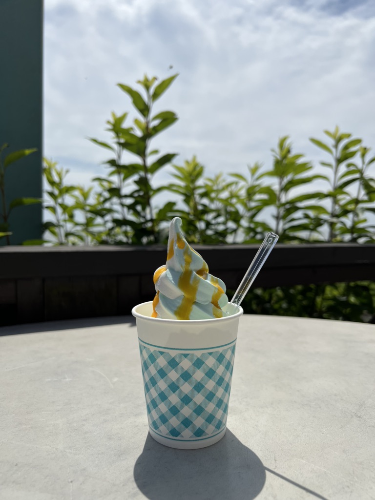 投稿された画像