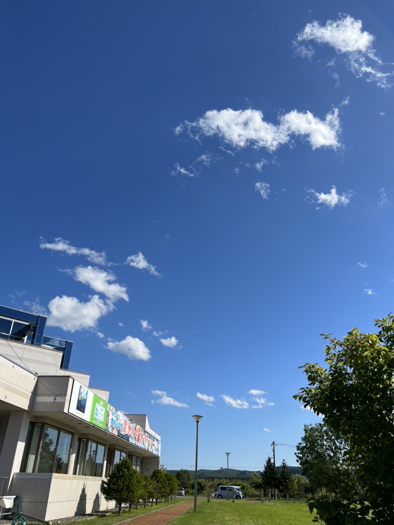 投稿された画像