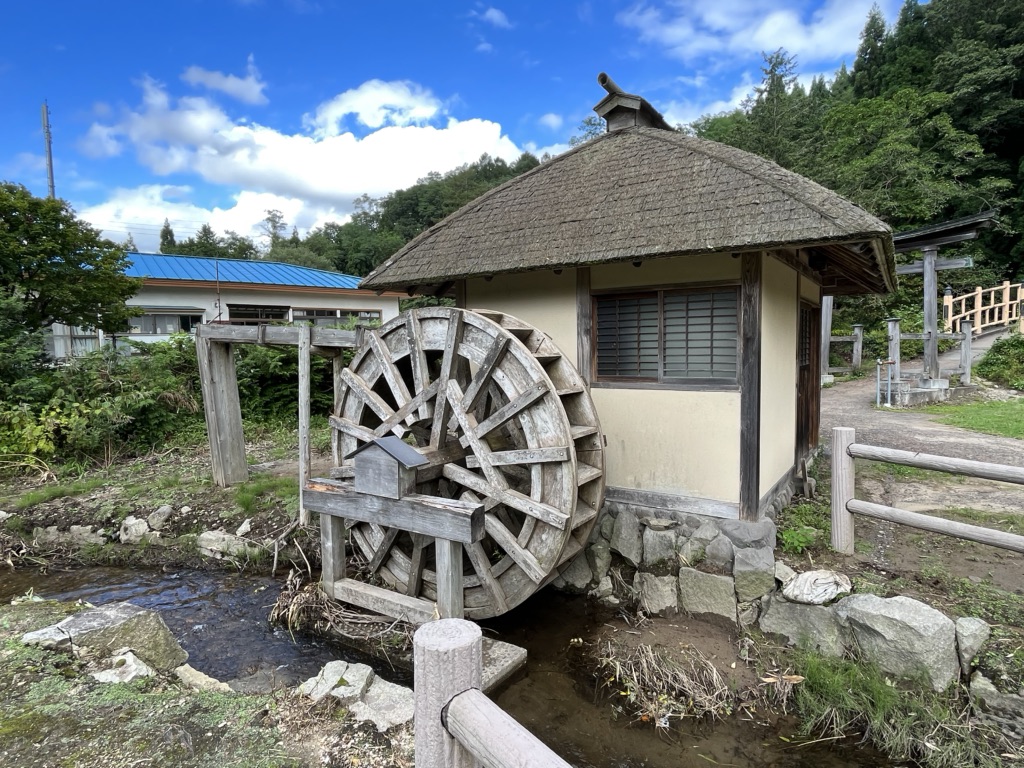 投稿された画像