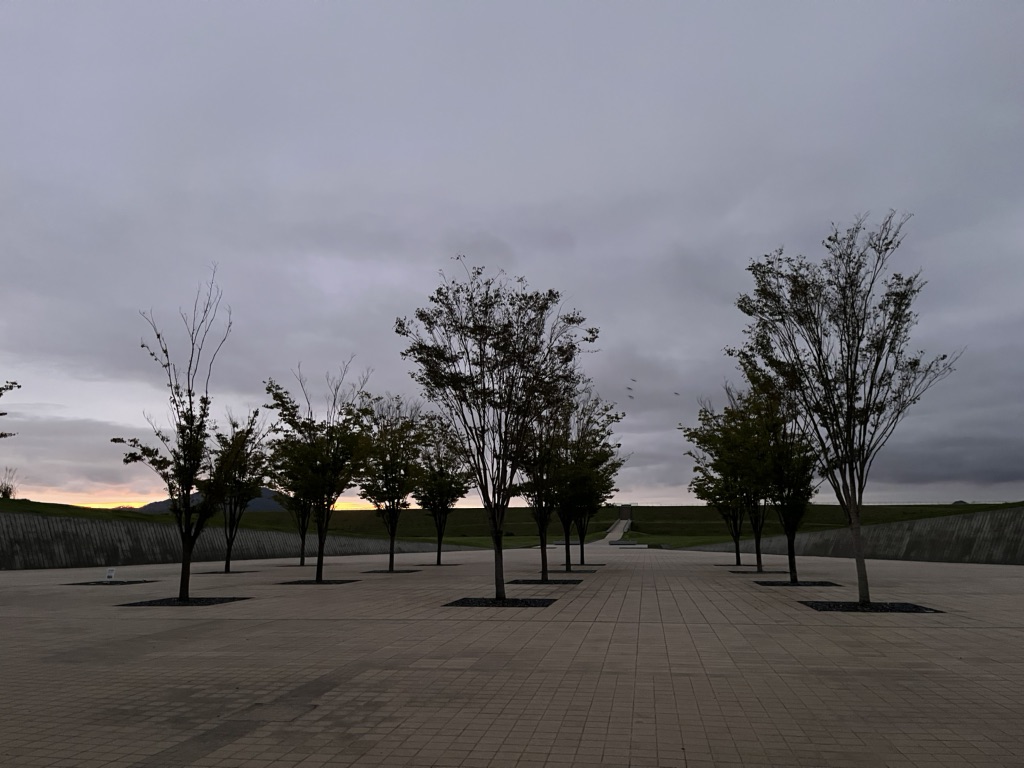 投稿された画像