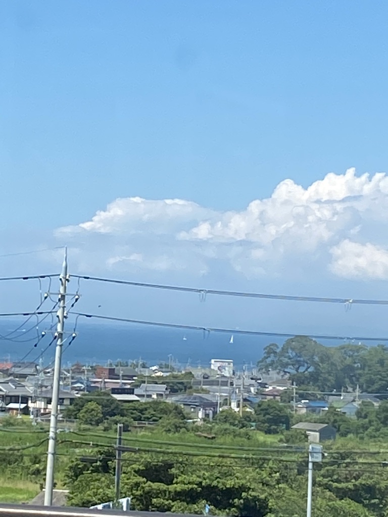投稿された画像