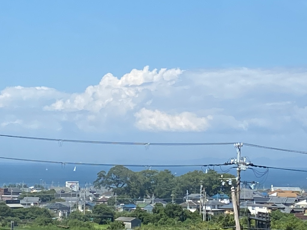 投稿された画像