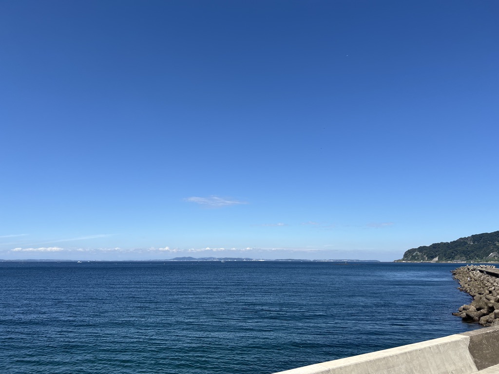 投稿された画像