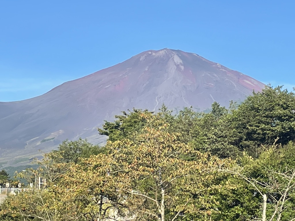 投稿された画像