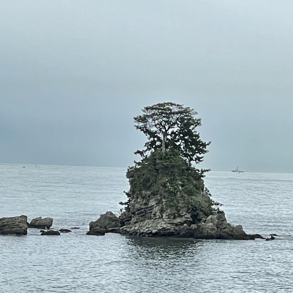 投稿された画像