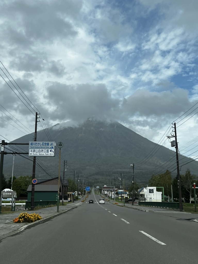 投稿された画像