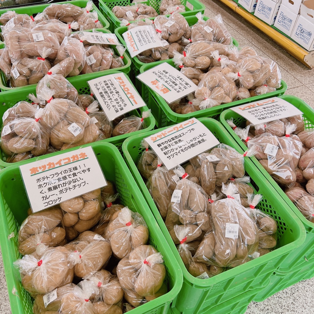 投稿された画像