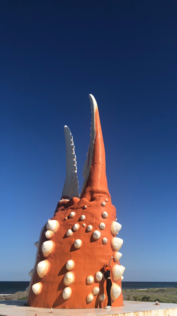 投稿された画像