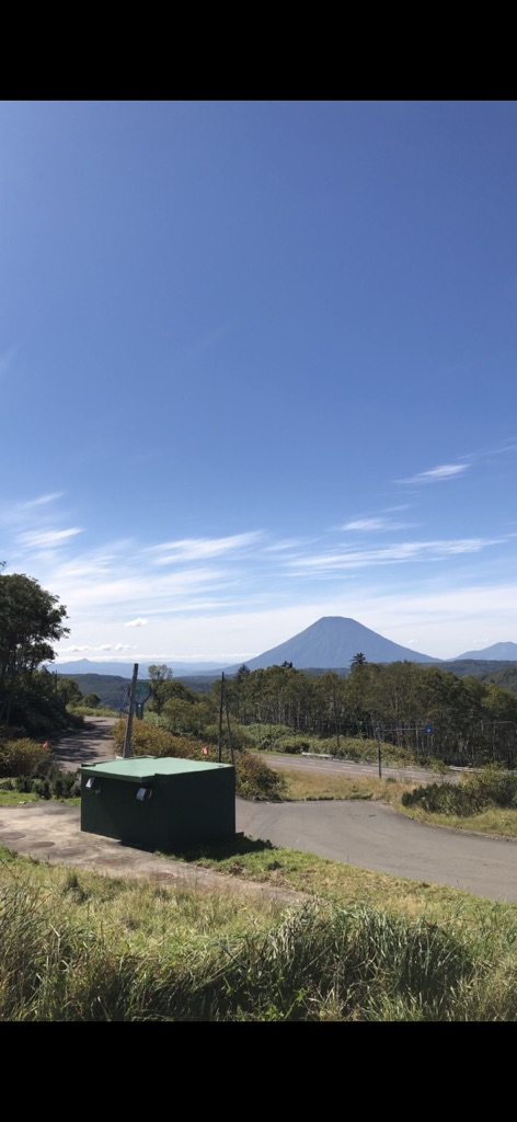 投稿された画像