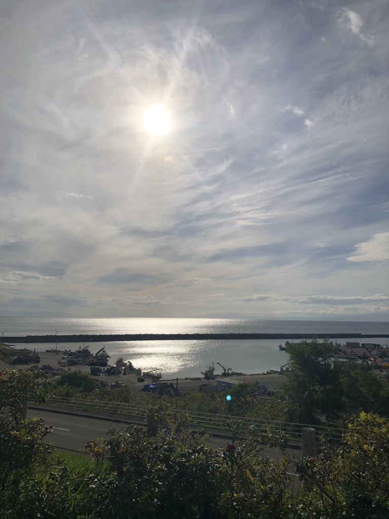 投稿された画像