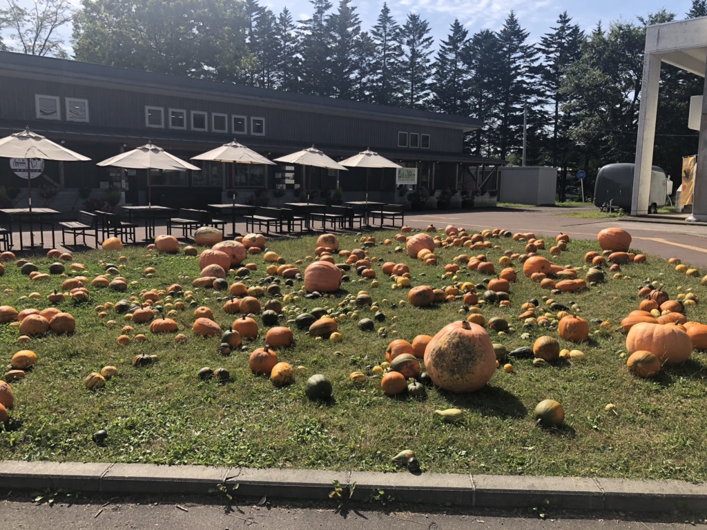 投稿された画像