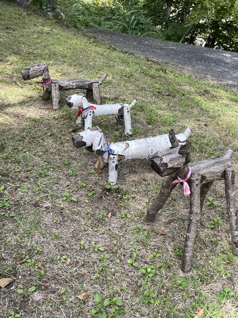 投稿された画像