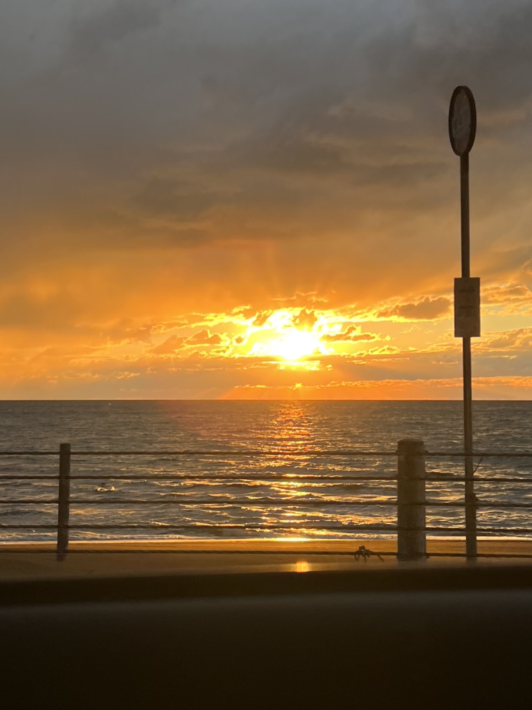 投稿された画像