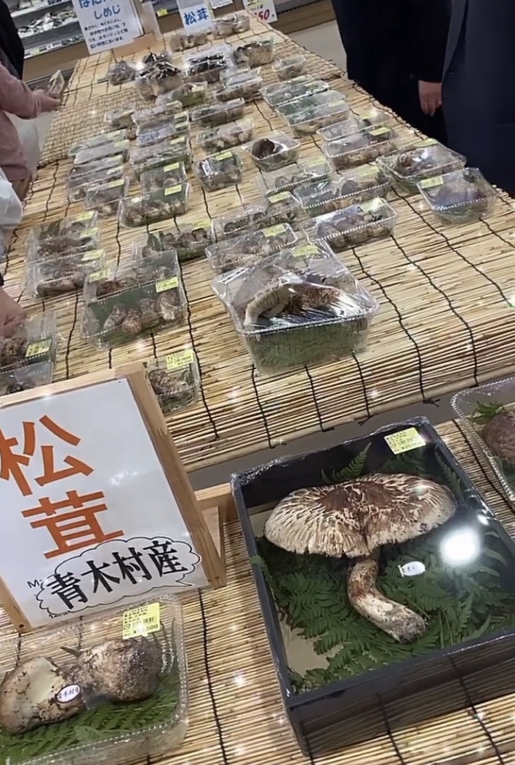 投稿された画像