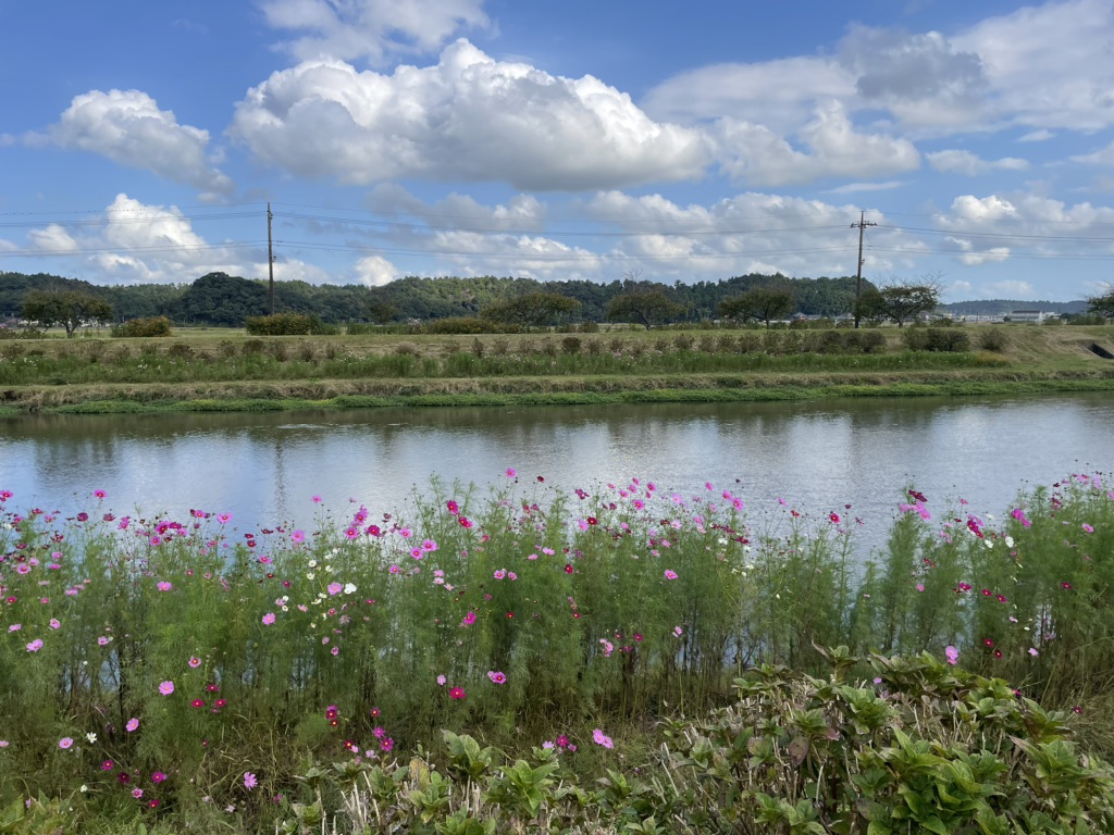 投稿された画像