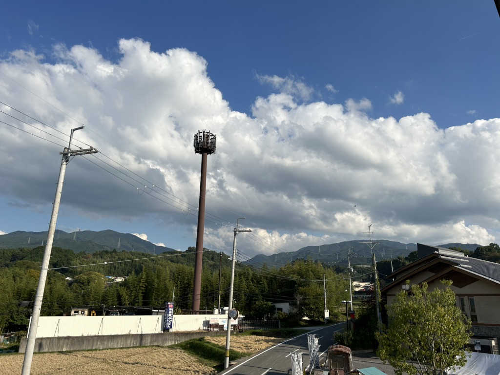 投稿された画像