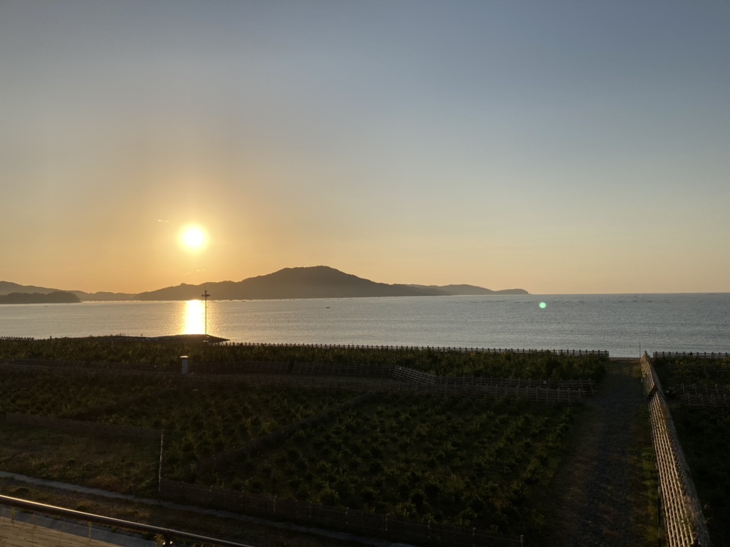 投稿された画像