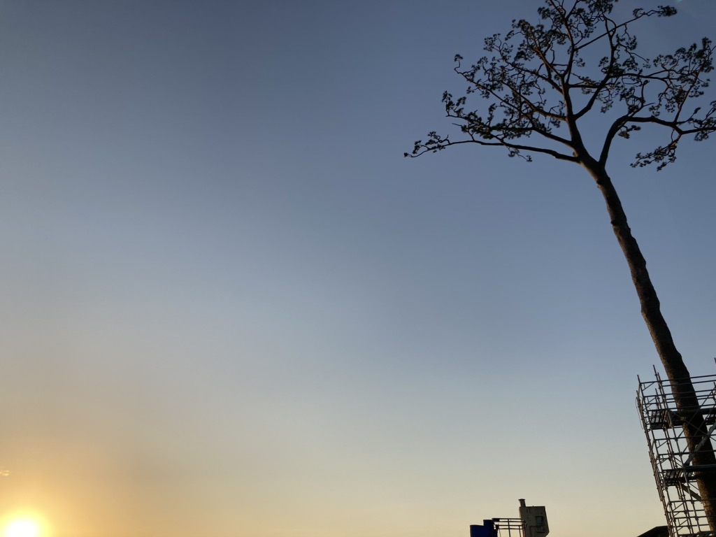 投稿された画像