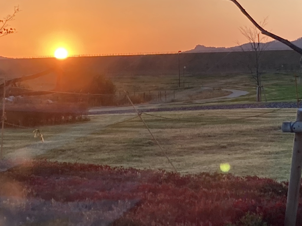 投稿された画像