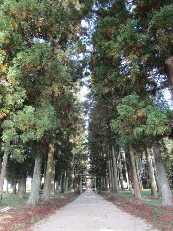 投稿された画像