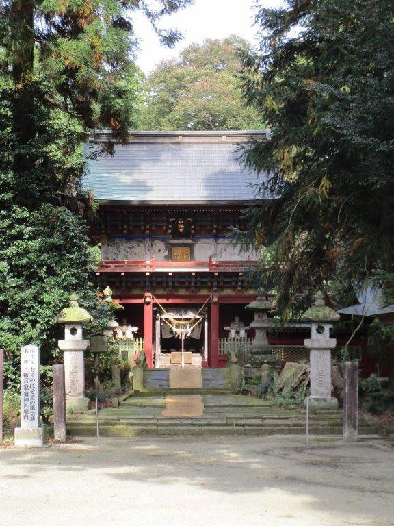 投稿された画像