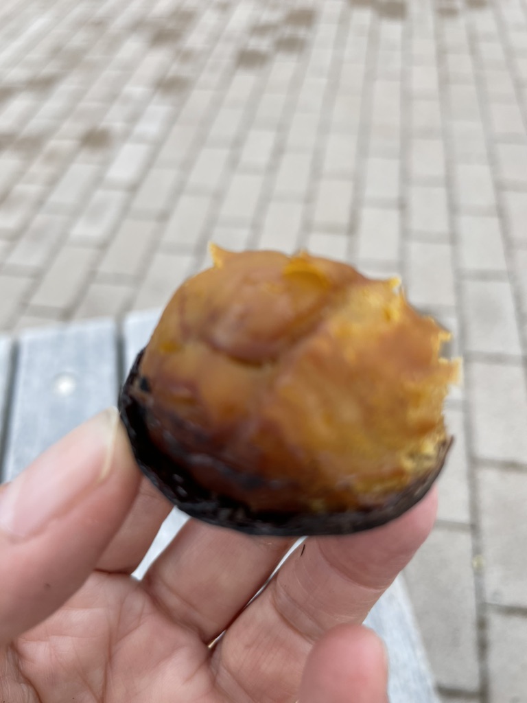 投稿された画像