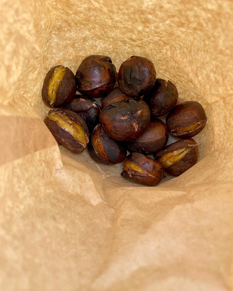 投稿された画像