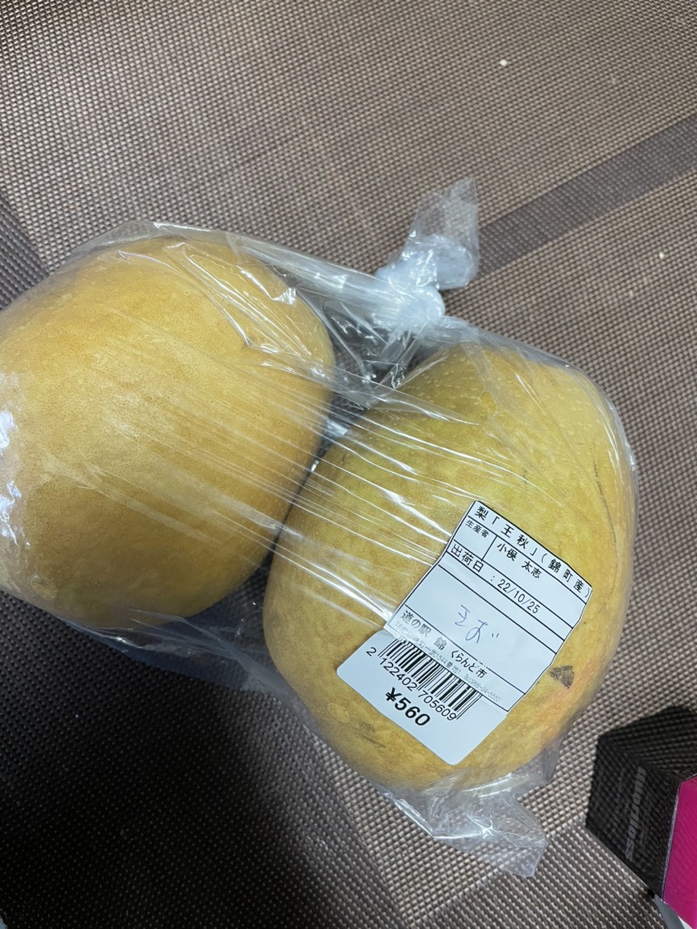 投稿された画像