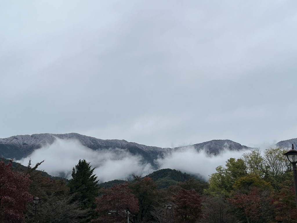 投稿された画像