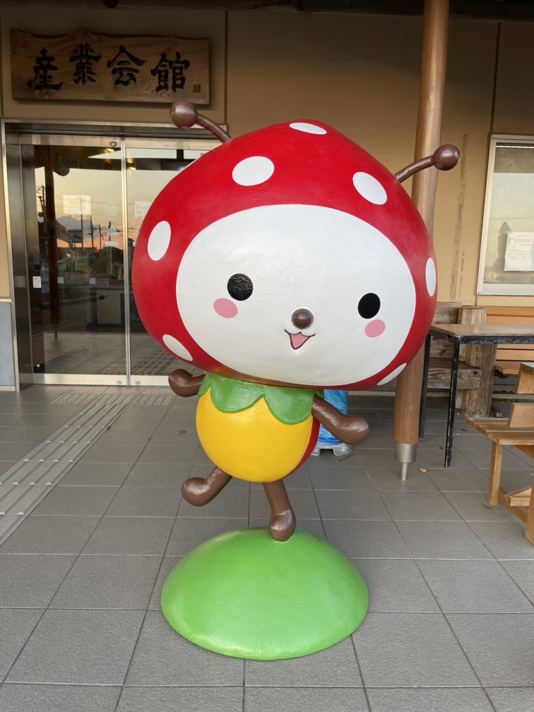 投稿された画像