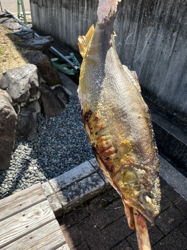 投稿された画像