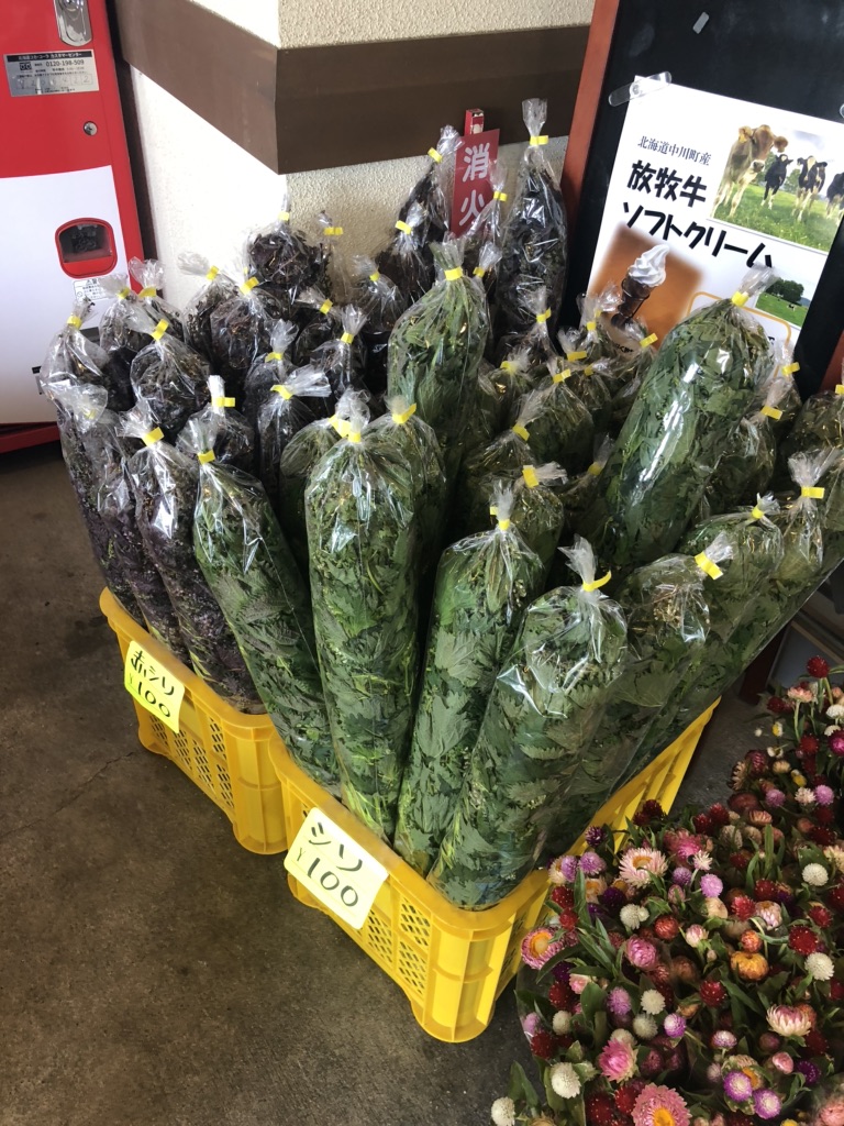投稿された画像
