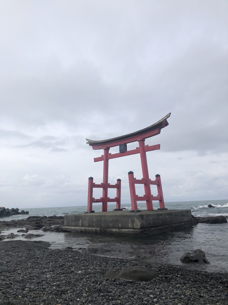 投稿された画像