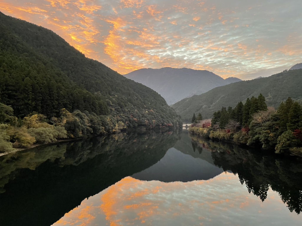 投稿された画像