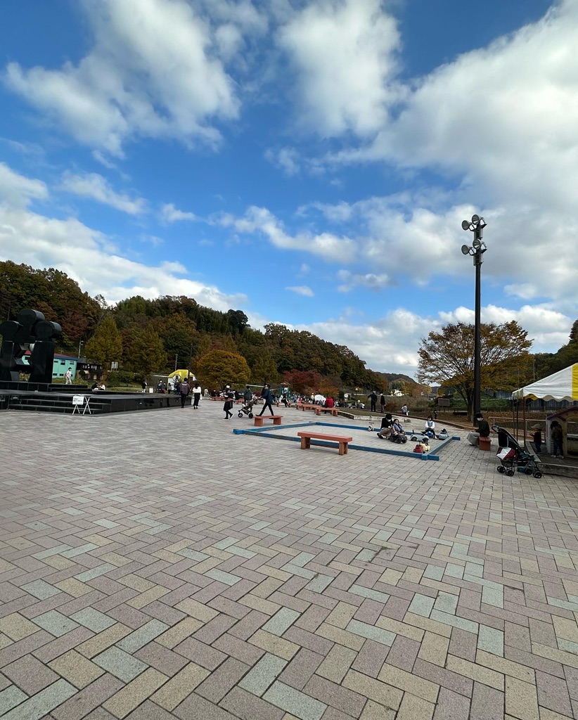 投稿された画像