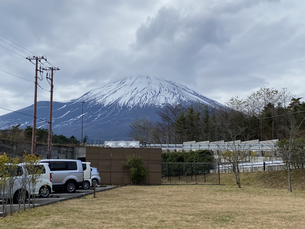 投稿された画像