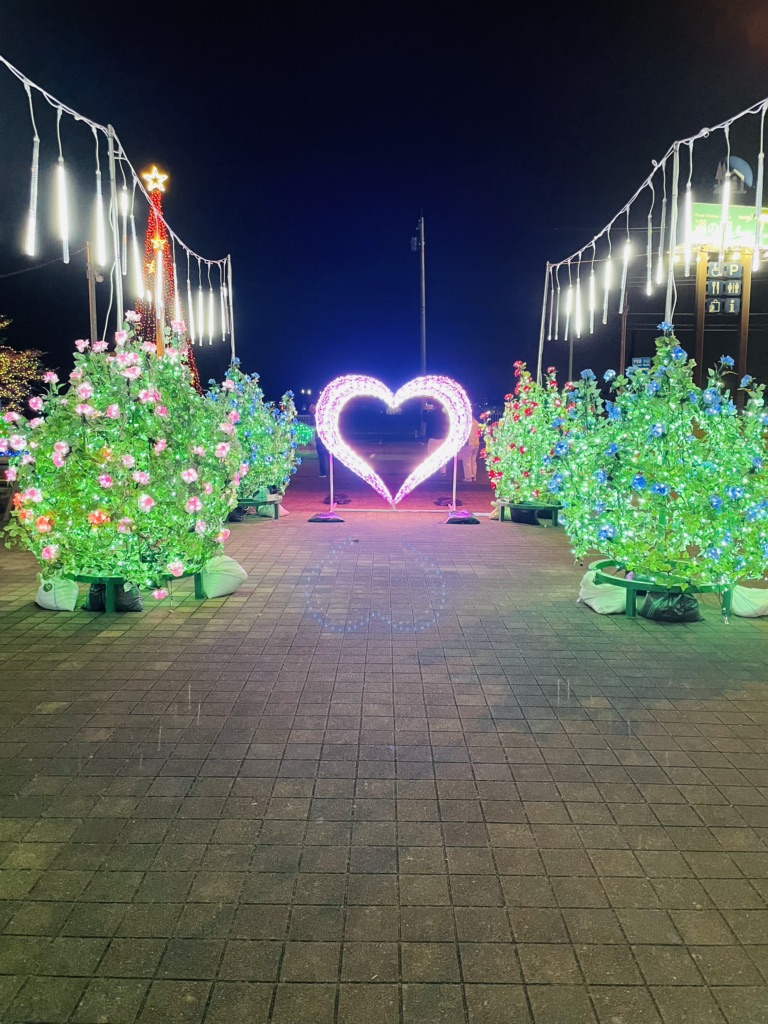 投稿された画像