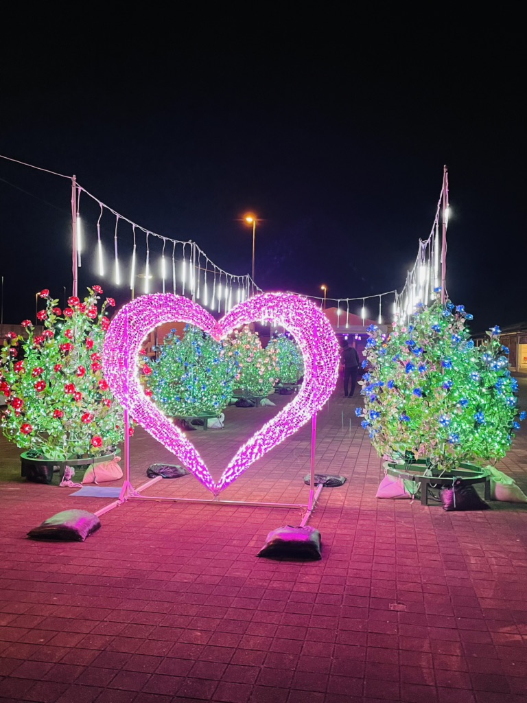 投稿された画像